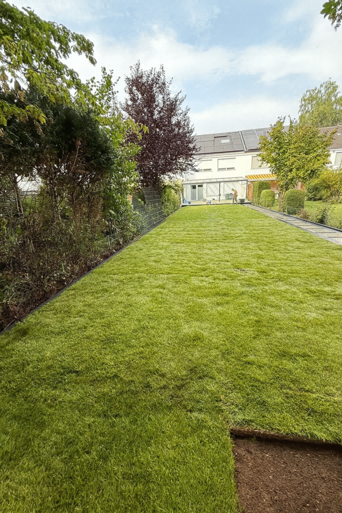 Rollrasen verlegen lassen Berlin